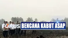 Bila melihat luasnya lahan yang terbakar, Jokowi menilai kebakaran ini merupakan kegiatan yang terorganisir.
