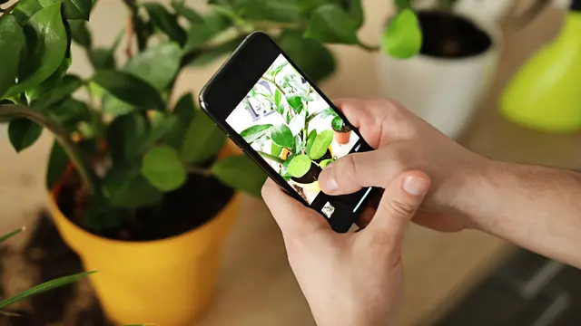 10 Tips Foto Aesthetic dengan Smartphone, Hasilnya Nggak Kalah Bagus Sama Profesional