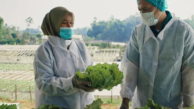 Inspiratif, Pria Garut Rintis Bisnis Pertanian Modern hingga Raih Sertifikasi Pangan Berkelanjutan Global