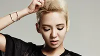 Terungkap, Identitas Pria Pelapor Hyoyeon `SNSD` ke Polisi