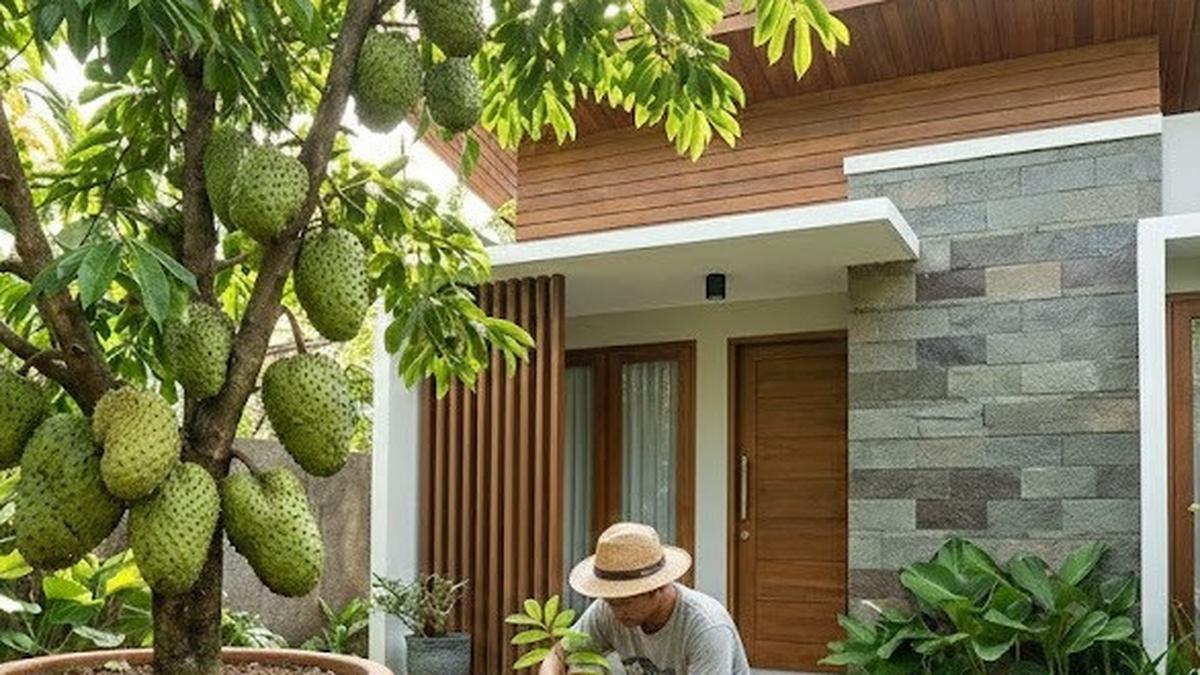 7 Cara Merangsang Pohon Buah Dalam Pot Agar Tidak Mandul, Panen Melimpah di Kebun Mini