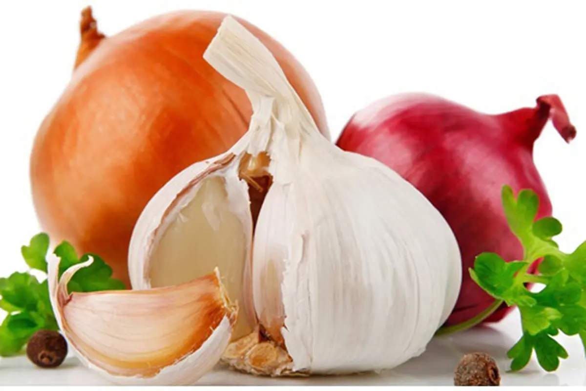 Foto: copyright thefoodrecipes.net