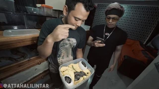 7 Penampakan Isi Rumah Panji Petualang, Ada Hewan Purbakala