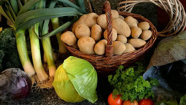 4 Sayur Kaya Protein Ini Bisa Gantikan Daging