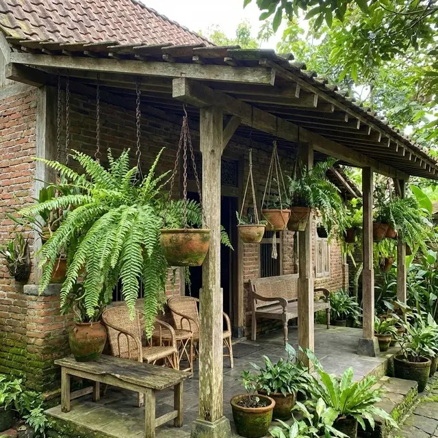Desain Teras Rumah Teduh dengan Tanaman Gantung