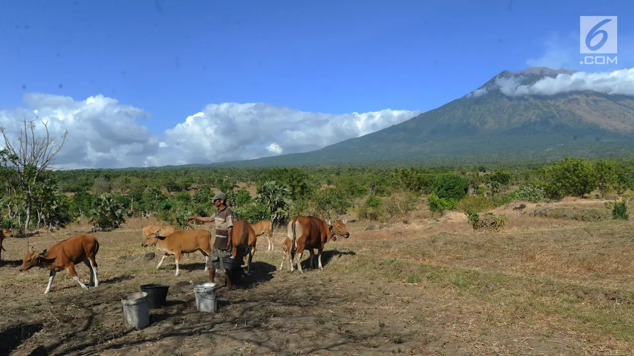 Pasca-Erupsi, Warga Tetap Beraktivitas di Kaki Gunung Agung