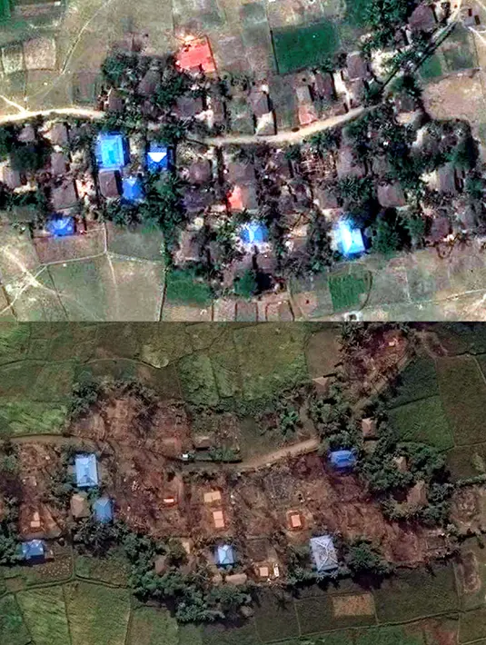 Foto dari citra satelit menunjukkan Desa Kyet Yoe Pyin yang dihuni oleh minoritas muslim Rohingya sebelum dibakar pada 30 Maret 2016 (atas) dan sesudah dilahap si jago merah pada 10 November 2016 (bawah). (Copyright 2016 Human Rights Watch/REUTERS)