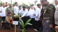 Mentan Amran Temukan Kejanggalan Program Bibit Kelapa, Ancam Pecat Pelaku