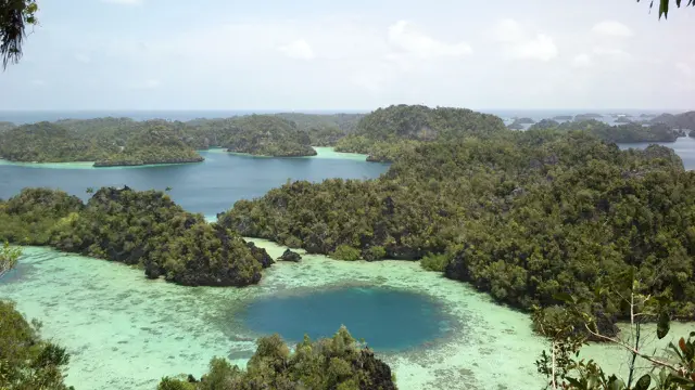 Foto Ikonik Raja Ampat dan Cerita di Baliknya