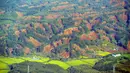 Pemandangan tanah longsor setelah gempa mengguncang Kota Atsuma, Prefektur Hokkaido, Jepang, Kamis (6/9). Perusahaan listrik, Hokkaido Electric, menyebut aliran listrik terputus bagi 2,95 juta rumah. (JIJI PRESS/AFP)