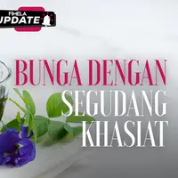 Fimela Update: Bunga Telang