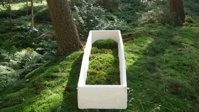 Peti Mati Hidup Pertama Di Dunia