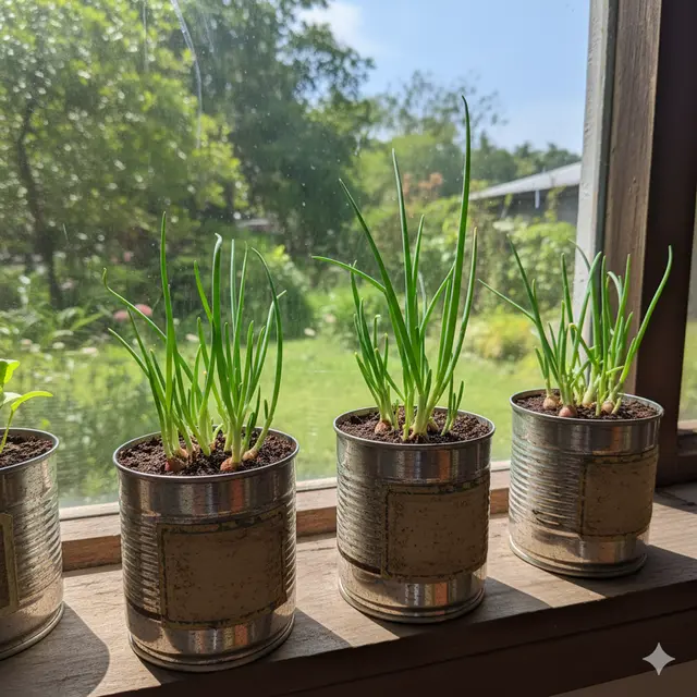 Jenis Sayuran yang Bisa Ditanam di Kaleng Bekas (Foto: Gemini AI)