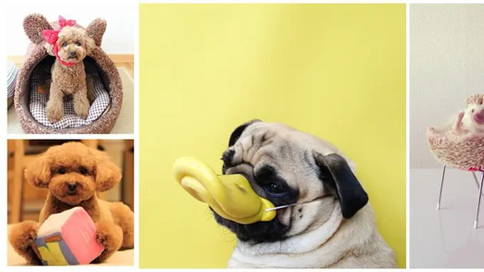 courtesy of mashable.com