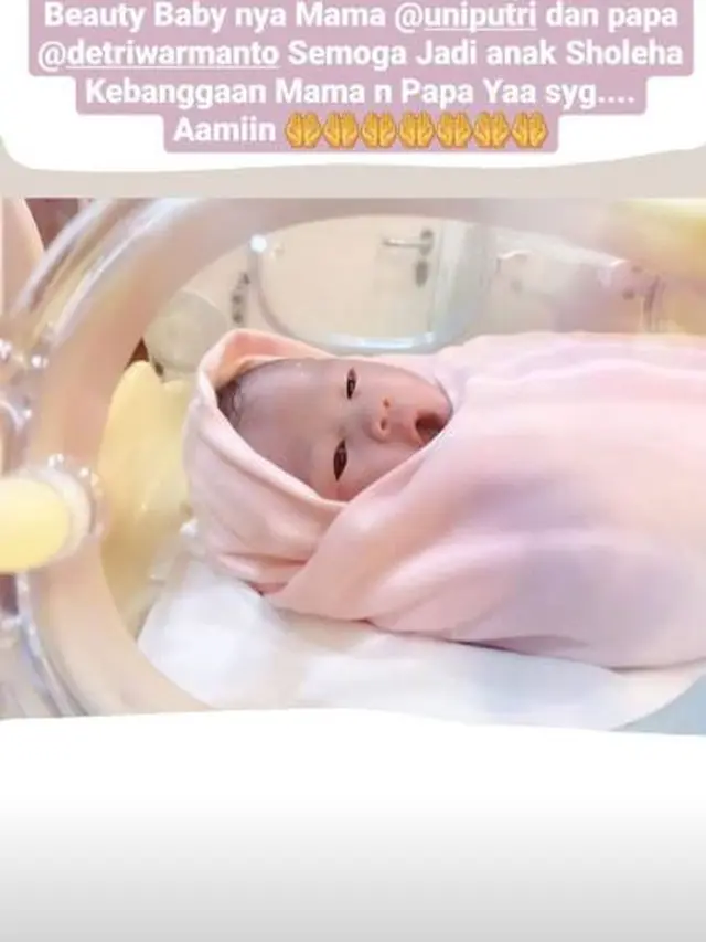 5 Potret Hagia Zayana Putri Warmanto, Anak Ketiga Detri Warmanto yang Baru Lahir