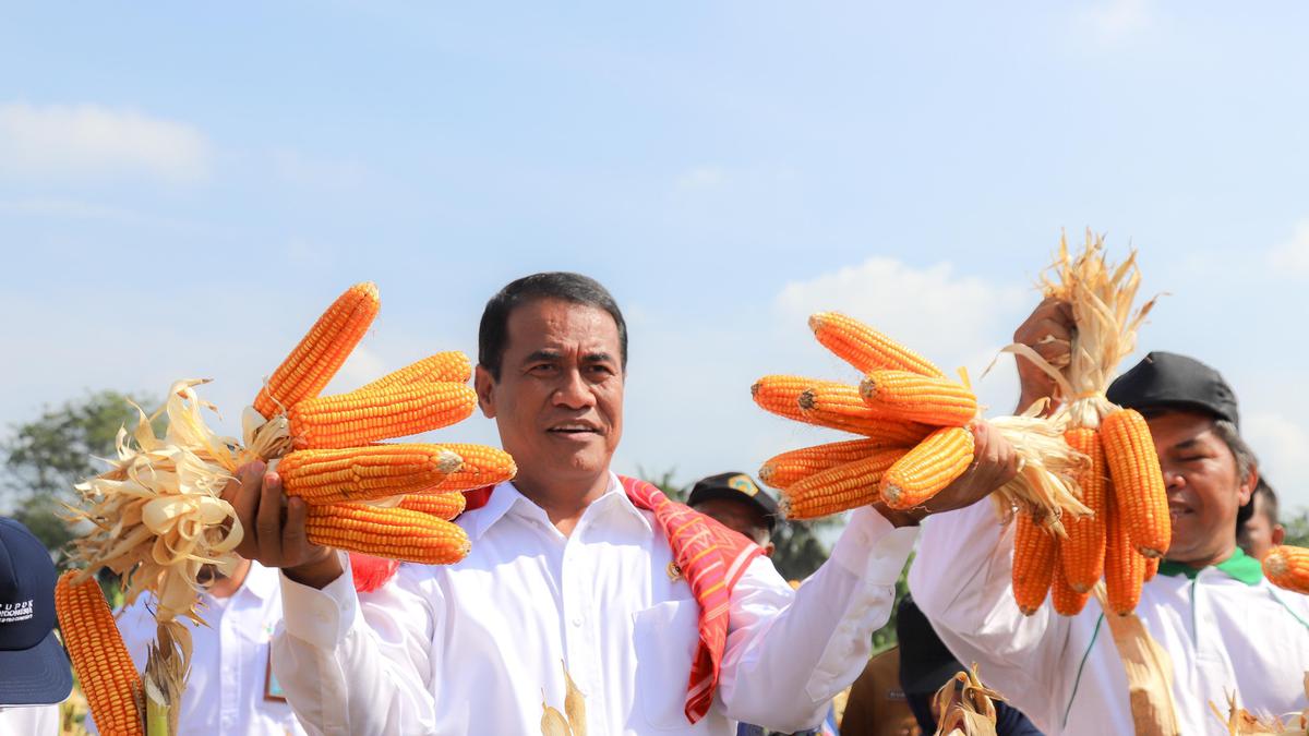 Indonesia Siap Ekspor 27 Ribu Ton Jagung pada Juni 2025