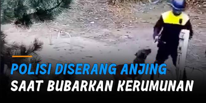 VIDEO: Apes, Polisi Diserang Anjing K9 yang Dibawa Saat Bubarkan Kerumunan