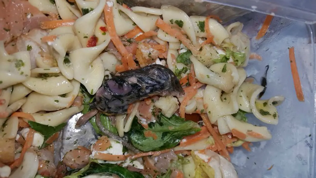 Ada Tikus Dalam Pasta Ini