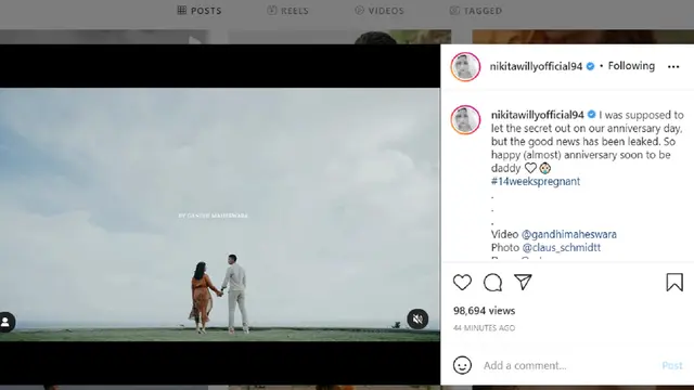 Nikita Willy