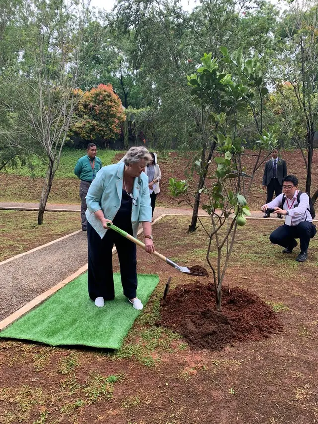 Menteri Inggris untuk Asia Pasifik, Heather Wheeler melakukan penanaman jeruk Bali sebagai simbol dibukanya misi Inggris untuk ASEAN.