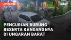 Terjadi peristiwa pencurian burung pada Kamis (10/10/2024), dini hari. Pencurian ini terjadi di Langensari Barat, Ungaran Barat