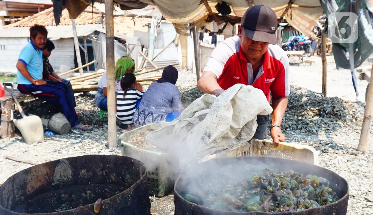 Pekerja menyelesaikan proses perebusan kerang hijau di Kawasan Dadap, Kecamatan Kosambi, Kabupaten Tangerang, Rabu (22/9/2021). Kerang hijua tersebut dijual dengan harga Rp 20 ribu per kilogramnya di wilayah Tangerang Raya.. (Liputan6.com/Angga Yuniar)