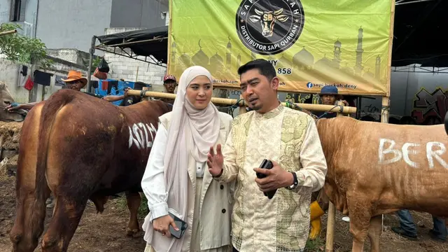 Ustaz Solmed