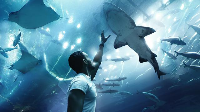 Dubai Aquarium