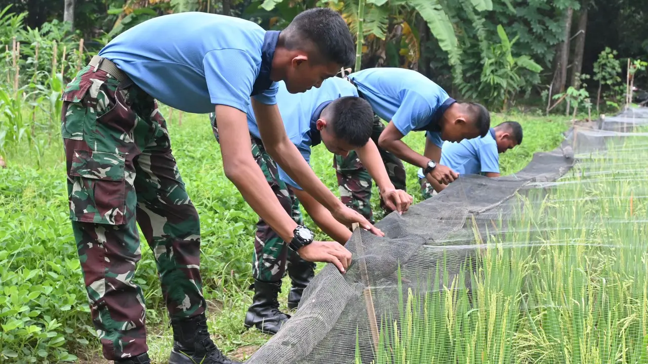 Sejumlah prajurit Skadik 404 Lanud Adi Soemarmo melakukan penanaman tanaman produktif wujudkan ketahanan pangan. (Dokumen Skadik 404 Lanud Adi Soemarmo)