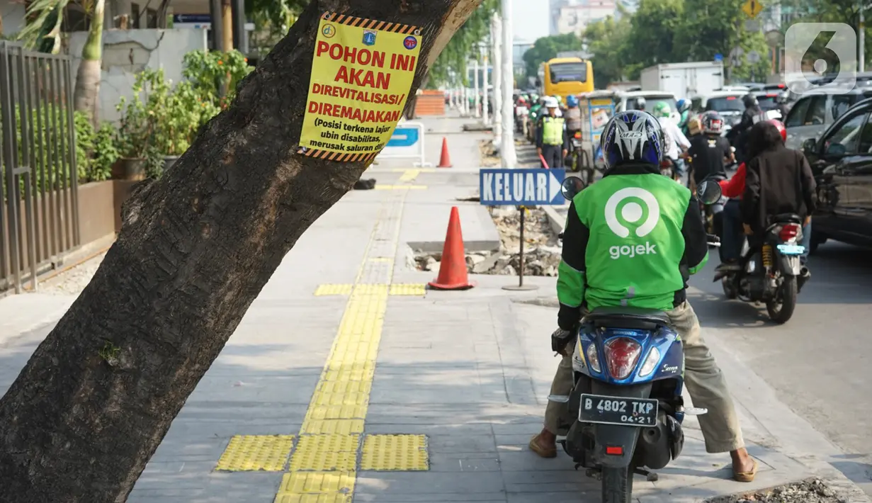 Poster revitalisasi menempel pada pohon yang berada di jalur pedestrian Jalan Kramat Raya, Jakarta, Jumat (8/11/2019). Sepanjang pengerjaan jalur pedestrian, pohon yang berada di jalur tersebut rencananya juga akan direvitalisasi dan diremajakan. (Liputan6.com/Immanuel Antonius)