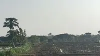Tanah Kesongo di kawasan KPH Randublatung, Dukuh Sucen, Desa Gabusan, Kecamatan Jati, Kabupaten Blora, Jawa Tengah, meletus lagi. (Liputan6.com/ Istimewa)