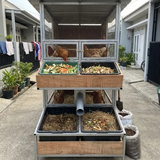 Model Kandang Ayam di Gang Sempit