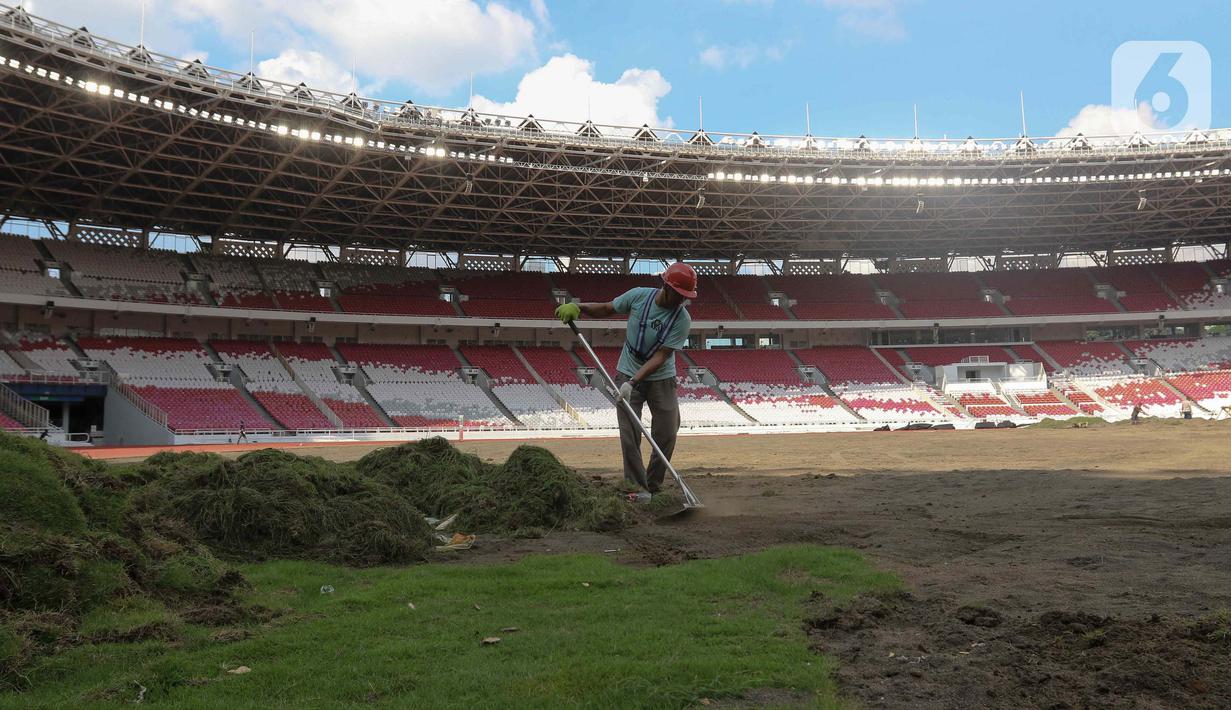 Pekerja melakukan pengerjaan revitalisasi rumput lapangan di Stadion Utama Gelora Bung Karno (SUGBK), Jakarta, Rabu (26/6/2024). (Liputan6.com/Herman Zakharia)