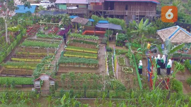 Dasawisma Asoka