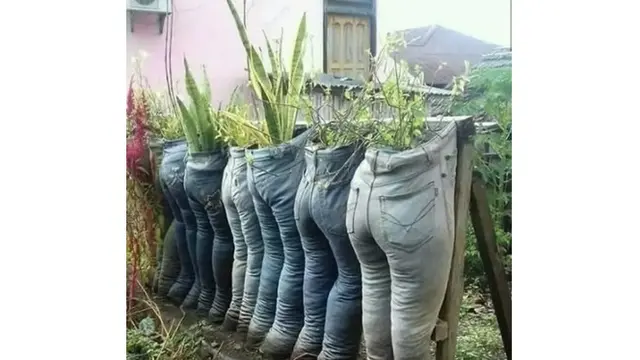 5 Potret Tanaman Didandani Bak Manusia Ini Bikin Geleng Kepala
