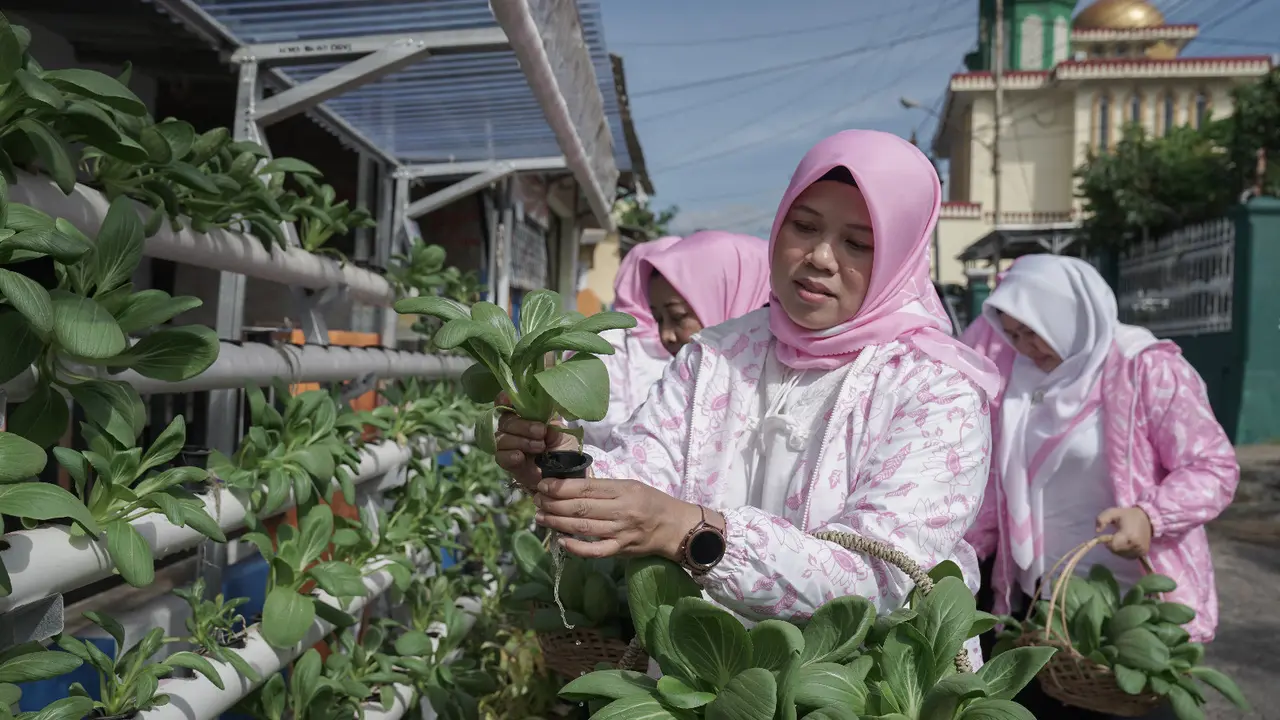 Program BRInita Sulap Lahan Sempit Jadi Urban Farming yang Produktif Bandar Lampung