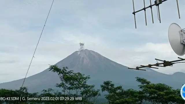 Gunung Semeru Kembali Erupsi (Istimewa)