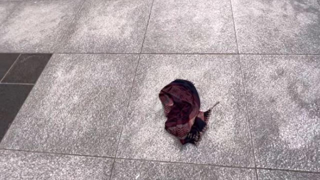 Makam Abdullah bin Abdul Muthalib, ayah Nabi Muhammad SAW di Madinah. (Foto: YouTube Erwin Ismail)