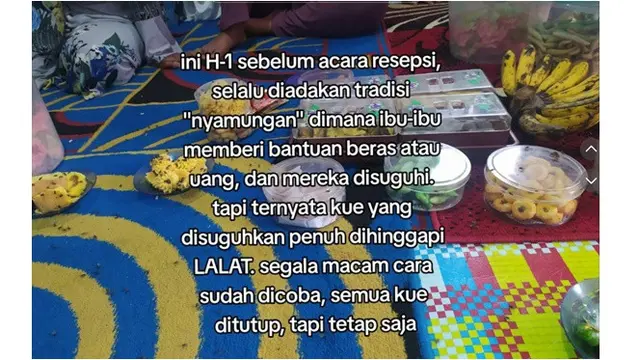 7 Potret Pilu Acara Pernikahan Dipenuhi Ribuan Lalat, Curhatan Pengantin Ini Viral