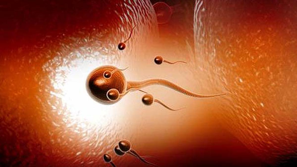 Oksana Infinity porno