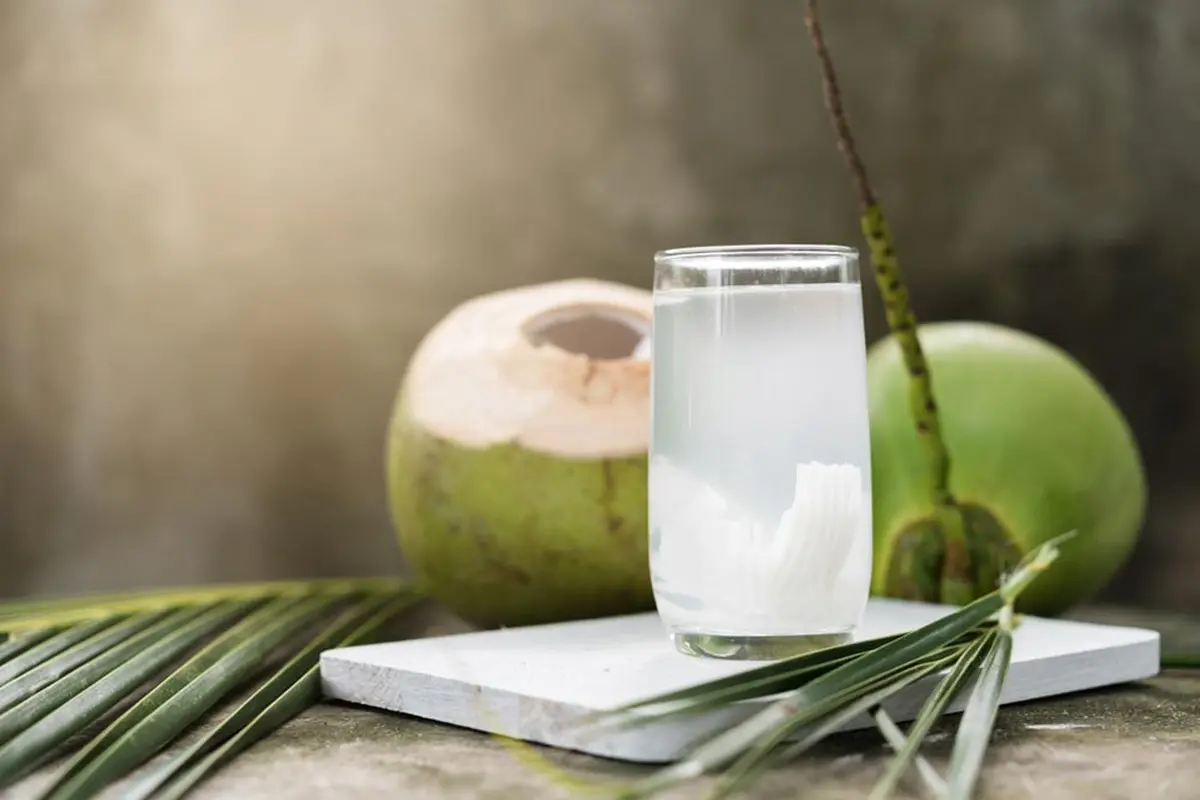 Manfaat Air Kelapa bagi Ibu Hamil (Here Asia/Shutterstock)