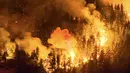 Upaya pemadaman menghadapi tantangan berat mengingat luasnya area yang terbakar. Tampak dalam foto, kobaran api menghanguskan kawasan hutan di Gunung Pirque, El Hoyo, wilayah Patagonia provinsi Chubut, Argentina pada 7 Januari 2026. (Martin LEVICOY/AFP)