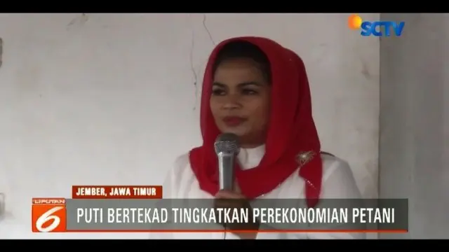 Silaturahmi ke para petani pisang di Jember, Jawa Timur, Cawagub Jawa Timur, Puti Guntur Soekarno berjanji akan meningkatkan perekonomian para petani tersebut.