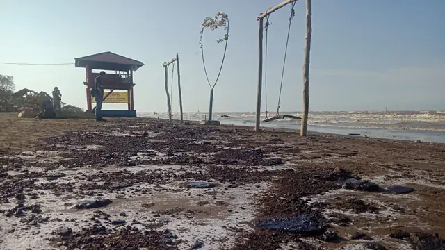 Pencemaran di Pesisir Utara Karawang