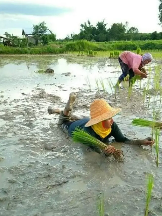 negara tersantai