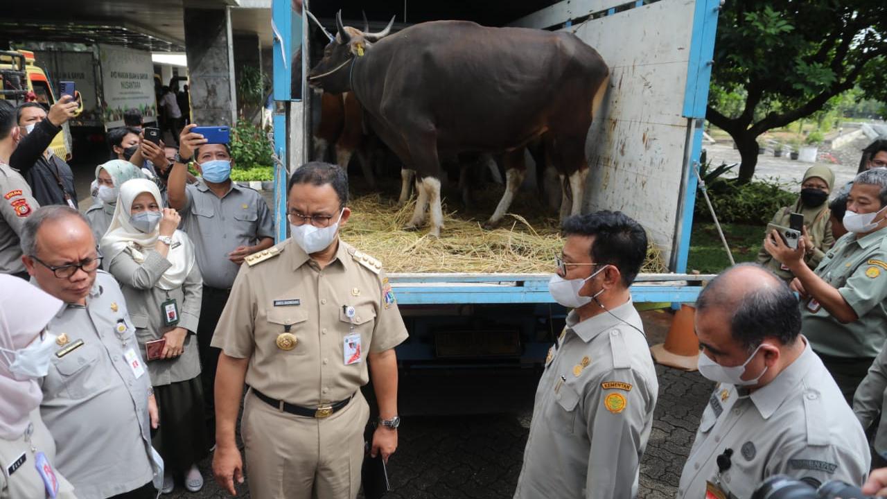 Kementan Siapkan Ribuan Hewan Ternak dan Bahan Pangan