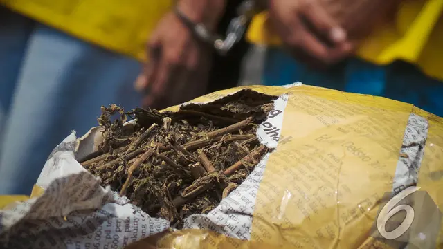 Ganja Aceh Senilai Rp 500 Juta Diamankan Polisi