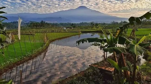 Keindahan Gunung Slamet (Sumber: Masdarwan)