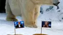 Dua buah labu ditaruh di kandang seekor beruang bernama Felix di kebun binatang Royev Ruchey di Krasnoyarsk, Rusia, Senin (7/11). Felix akan meramal siapa yang akan menjadi Presiden AS nanti. (REUTERS/Ilya Naymushin)