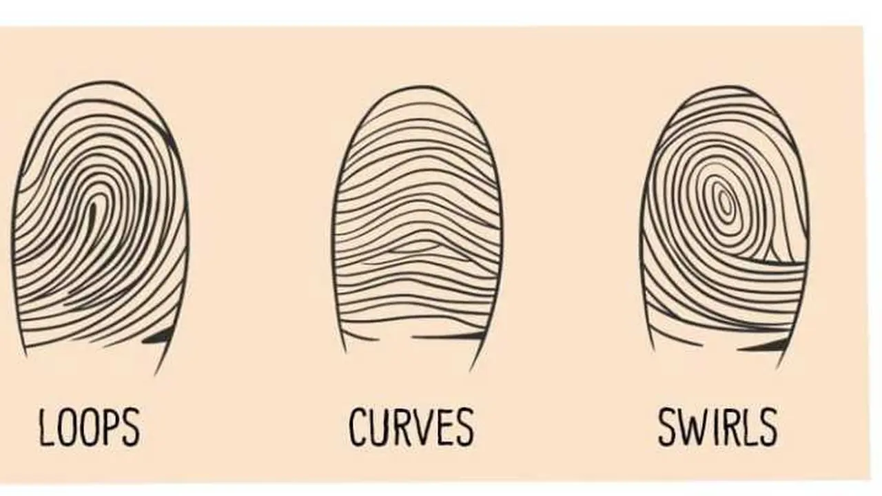 Pola sidik jari bisa ungkap kepribadian (boldsky)